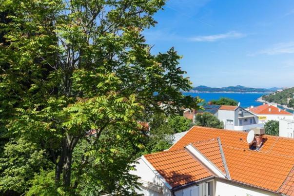 Niki Apartment Dubrovnik Luaran gambar